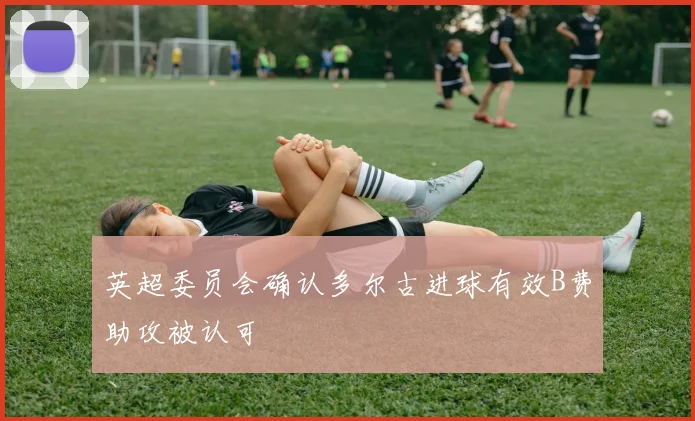英超委员会确认多尔古进球有效B费助攻被认可